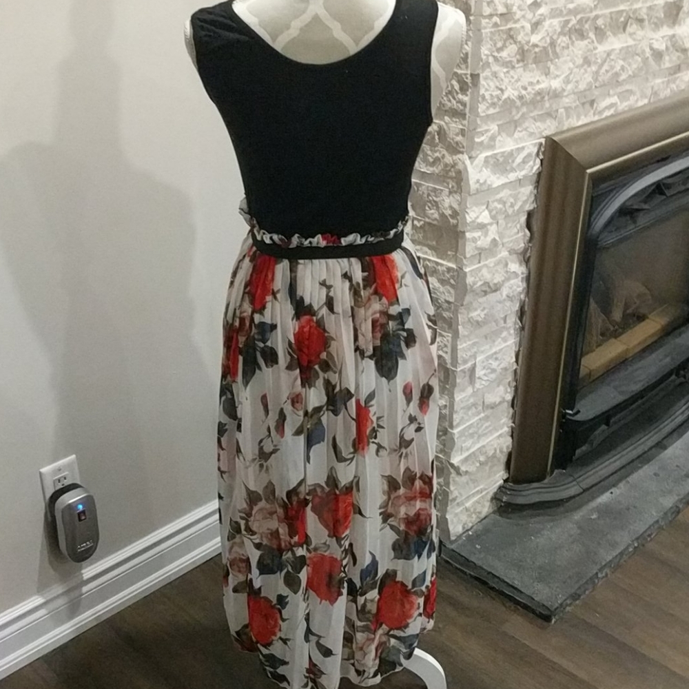 Dress with lined semi sheer floral skirt